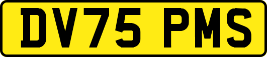DV75PMS