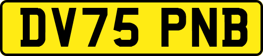 DV75PNB