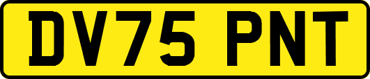 DV75PNT
