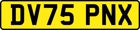 DV75PNX