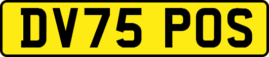 DV75POS
