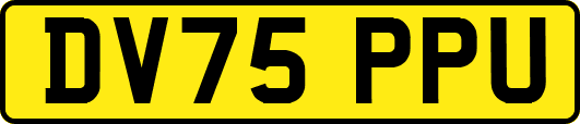 DV75PPU