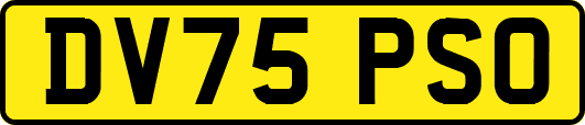 DV75PSO