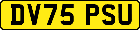 DV75PSU