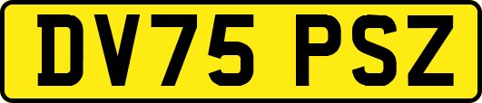 DV75PSZ