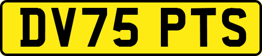 DV75PTS
