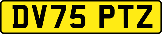 DV75PTZ