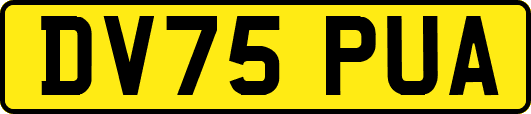 DV75PUA
