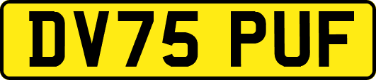 DV75PUF