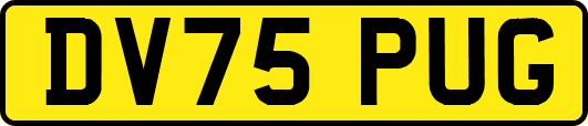 DV75PUG