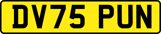 DV75PUN