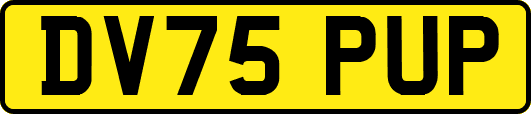 DV75PUP