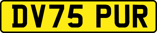 DV75PUR