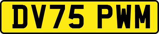 DV75PWM