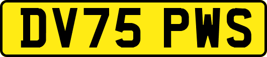 DV75PWS