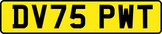 DV75PWT