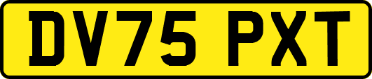 DV75PXT