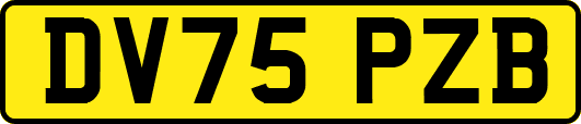 DV75PZB