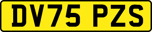 DV75PZS