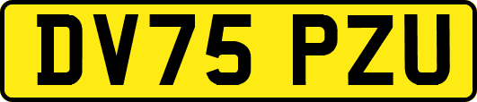 DV75PZU