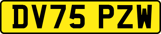 DV75PZW