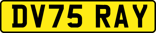 DV75RAY
