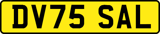 DV75SAL