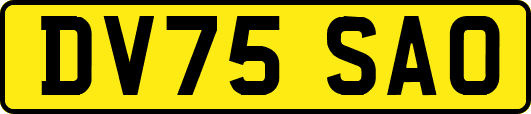 DV75SAO