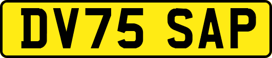DV75SAP