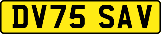 DV75SAV