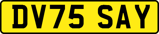 DV75SAY