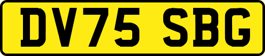 DV75SBG