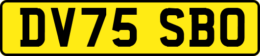 DV75SBO