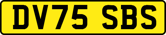 DV75SBS