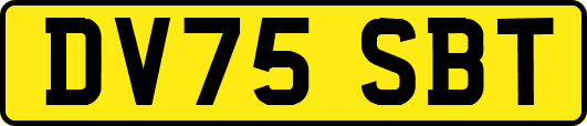 DV75SBT