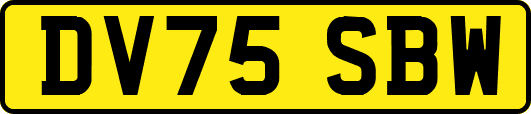 DV75SBW