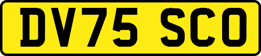 DV75SCO