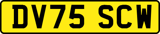 DV75SCW