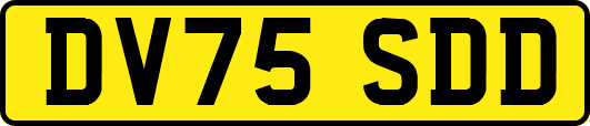 DV75SDD