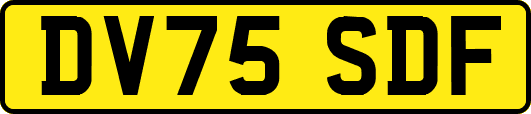 DV75SDF