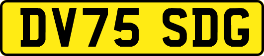 DV75SDG