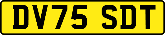 DV75SDT