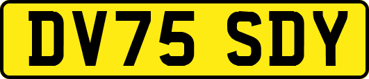 DV75SDY