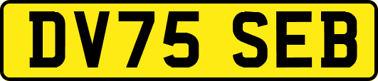 DV75SEB