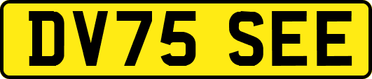 DV75SEE