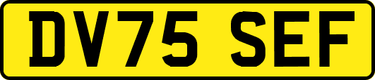 DV75SEF