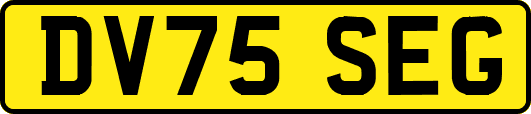 DV75SEG