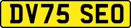 DV75SEO