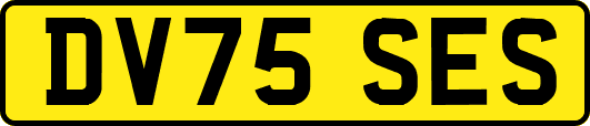 DV75SES