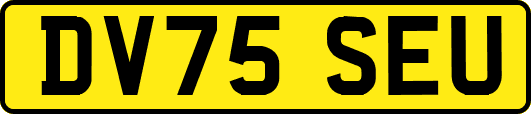 DV75SEU
